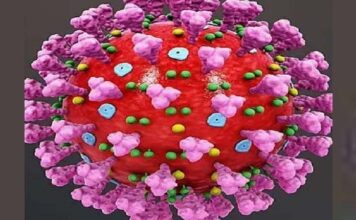 नगर ब्रेकिंग : नवीन करोना विषाणूला प्रतिबंध करण्याच्या उपाययोजनांचा भाग म्हणून ब्रिटनमधून आलेल्या नागरिकांचा शोध सुरू