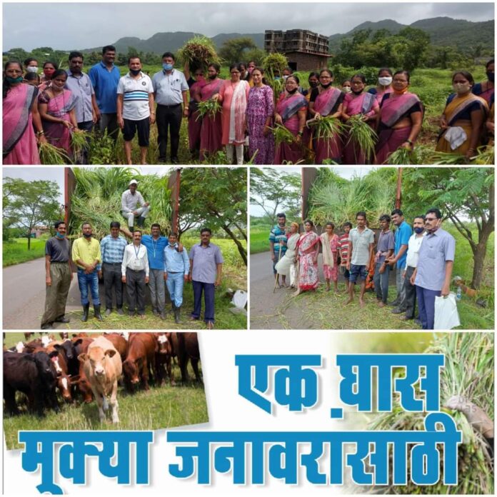 FB_IMG_1627999626214