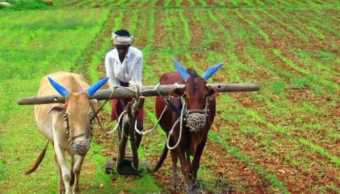 images - 2021-08-23T182103.207